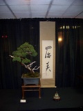 Annual Show 2011 - 30 2011